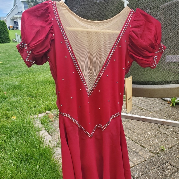 Red Ice Skating Dress - Picture 3 of 5